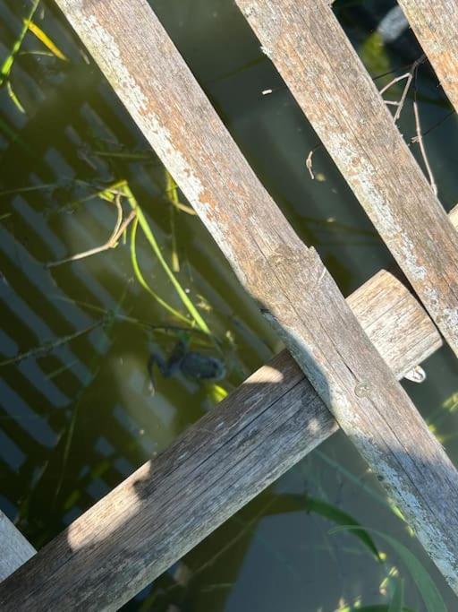 Un Havre De Paix Au Perigord Βίλα Anlhiac Εξωτερικό φωτογραφία